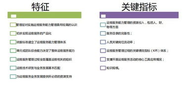 全面剖析ITSS信息技術(shù)服務(wù)標(biāo)準(zhǔn) 提升技術(shù)服務(wù)質(zhì)量的關(guān)鍵指南